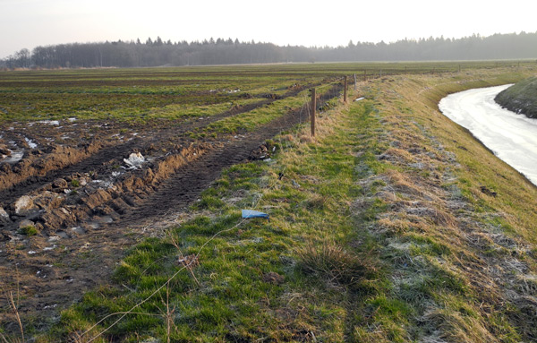 Guelle_Holtgast_14Feb2013