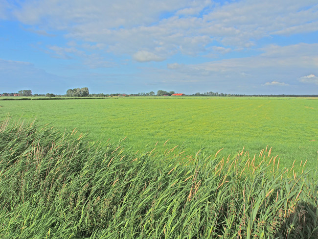 WEA_Planungsflaeche-Ochtersum_Holtgast_Juli2015